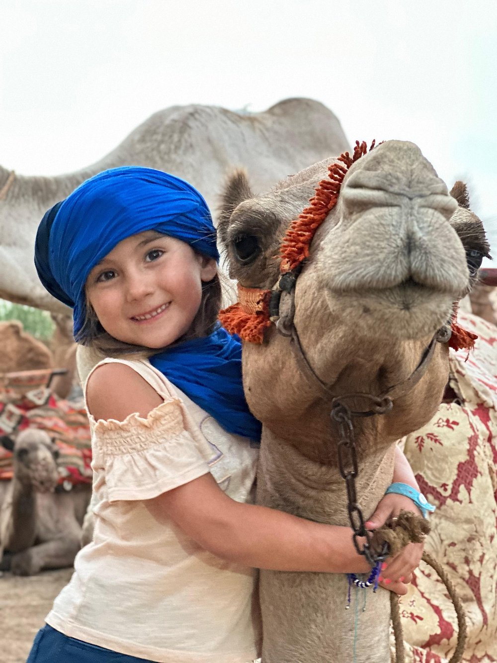 Sunset camel trekking Agadir beach